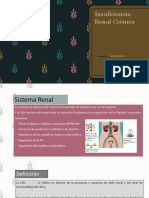 Insuficiencia Renal Crónica