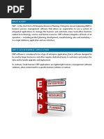 What Is Erp?