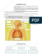 el_instrumento_vocal.pdf