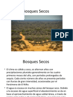 Clase Bosques Secos