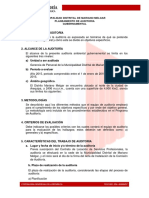 Plan de Auditoria Inicial