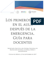 GUIA FINAL ok.pdf