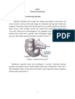 Peritonitis Difus Ec Appendisitis Perforasi