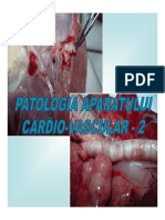 6 Cardio-Vascular 2 [Compatibility Mode]