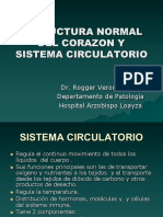 01 Estructura Normal Del Corazon y Sistema Circulatorio