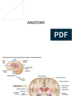 Anatomi Refarat Neuro