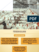 Pengaruh Kepadatan Kandang Terhadap Performans Ayam Broiler