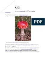 Mushroom: From Wikipedia, The Free Encyclopedia