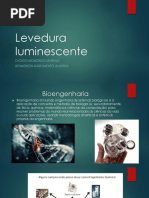 Levedura - Dyogo Benneson