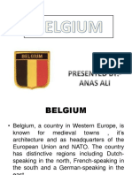 INVESTMENT IN BELGIUM 