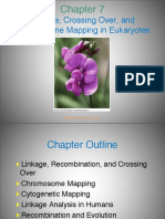 Linkage, Crossing Over, and Chromosome Mapping in Eukaryotes