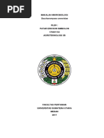 Download Makalah Mikrobiologi Saccharomyces cerevisiae by Patar Ericson Simbolon SN362034654 doc pdf