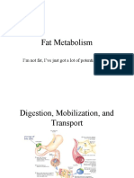 Fat Metabolism: I'm Not Fat, I've Just Got A Lot of Potential Energy!