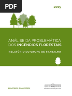 Análise Da Problemática Dos Incêndios