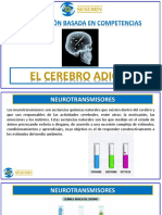 El Cerebro Adicto