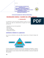 Quemados HIU RAFAEL HEANO TORO PDF