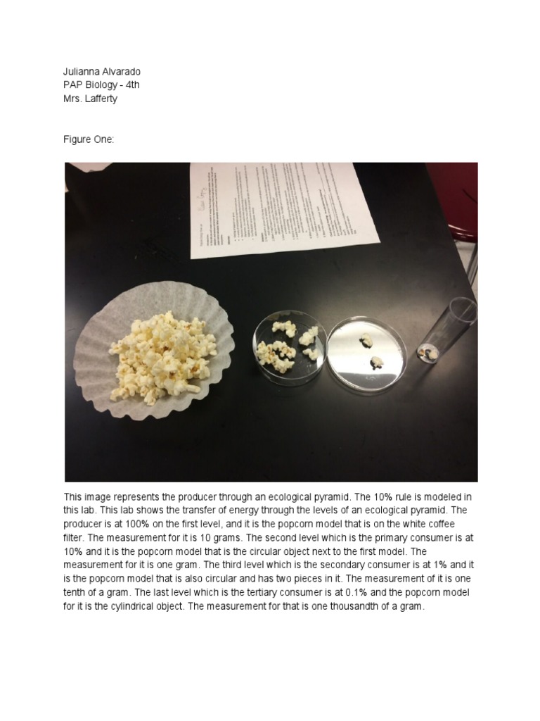 Energy Flow Lab 3 PDF