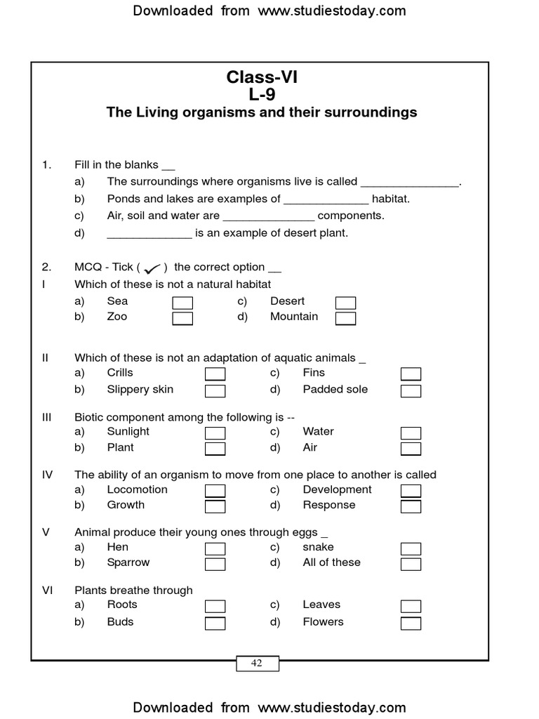 holiday homework for class 6 science cbse