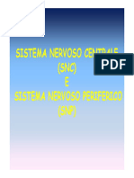 cenni_SISTEMA_NERVOSO.pdf