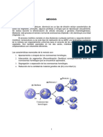 MEIOSIS Y MITOSIS