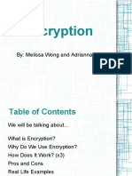 Encryptionpresentationfinal 120118083040 Phpapp01 PDF