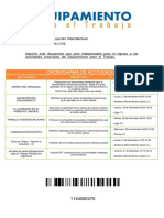Tiquete PDF