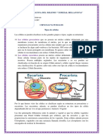 Tipos de Celulas