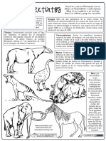 01-Animales-extintos.pdf