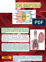 Shock Septico