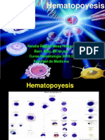 Hematopoyesis 2010 2