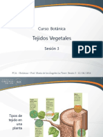 Sesión 03 - Tejidos Vegetales.pdf