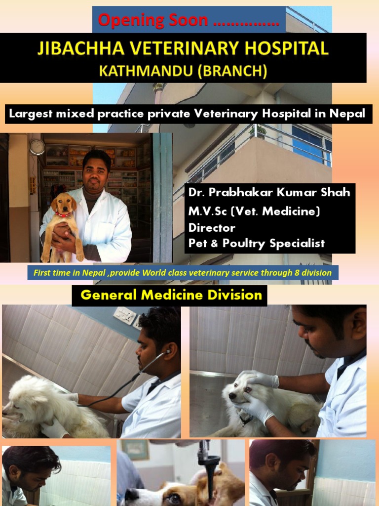 dr shah veterinarian