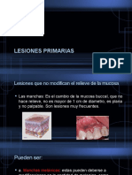 Lesiones Primarias