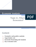 Economic Analysis of Normative vs Positive Theories
