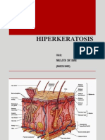 Hiperkeratosis