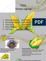 Pembuatan Tempe Jagung