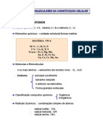 Bases Macromoleculares