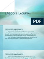 Lagoon (Laguna)
