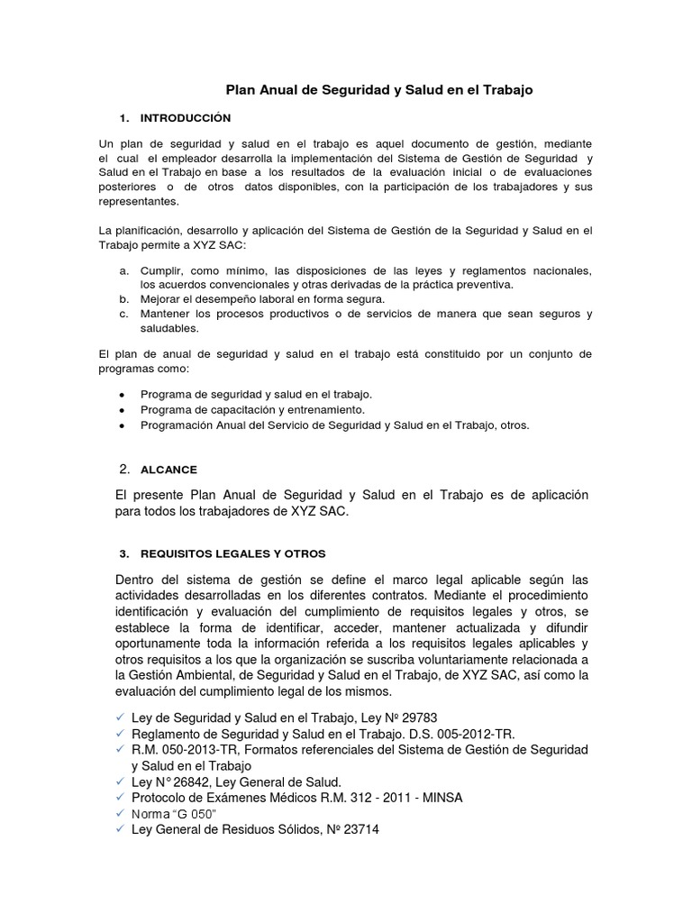 Plan Anual de Seguridad y Salud Laboral | PDF | Derecho laboral | La ...
