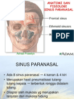 Anatomi Sinus Paranasal