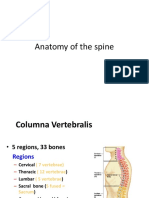 Anatomy of The Spine