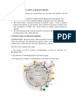 BIOSYNTHESIS part 2.pdf