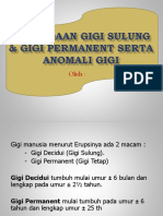 Perbedaan Gigi Sulung & Gigi Permanent Serta Anomali