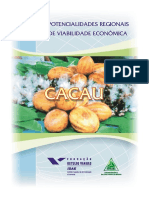 Cacau