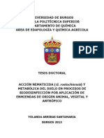 Arribas_Santamaría.pdf