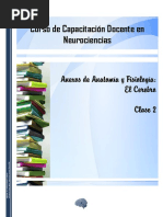 Anexos de Anatomía y Fisiología - El  Cerebro.pdf