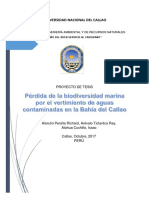 Pérdida de La Biodiversidad Marina Por Vertimiento de Aguas Contaminadas en La Bahía Del Callao