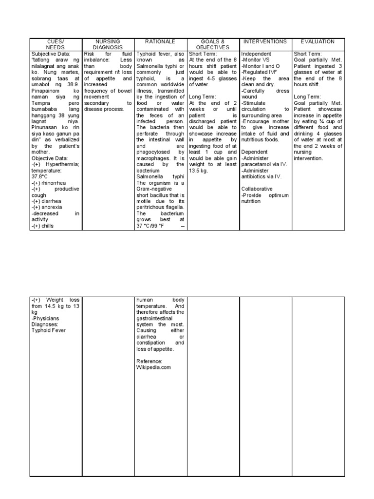 Sample Nursing Care Plan For Typhoid Fever Risk Salmonella Public