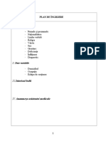 Plan de ingrijire.doc