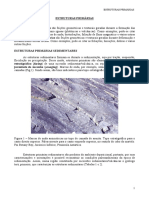 Estruturas_Primarias_paciullo.pdf